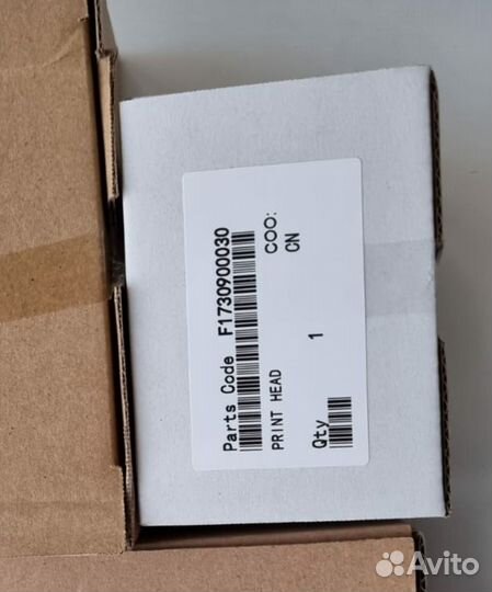Epson F173090
