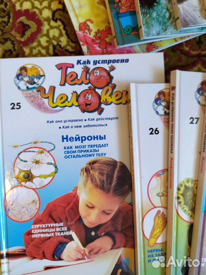 Комплект книг из серии тело человека