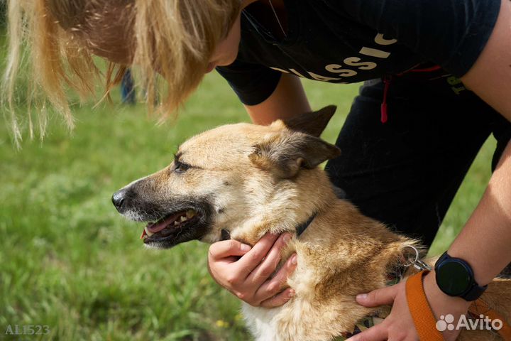 Малыш Пич искренне хочет домой