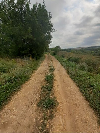 Дом 37,6 м² на участке 39 сот.