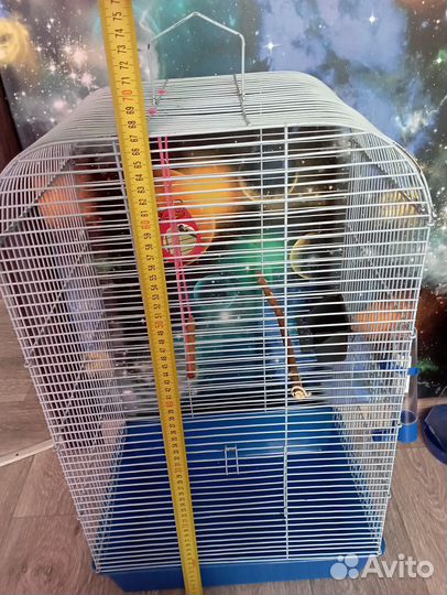 Клетка для попугая