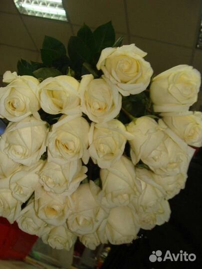 Цветы розы букет