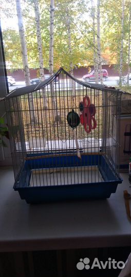 Клетка для попугая бу