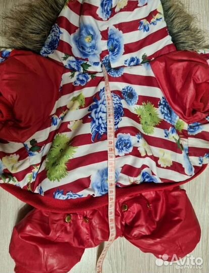 Одежда для маленьких собак