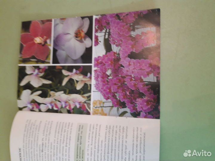 Секреты ухода за орхидеями