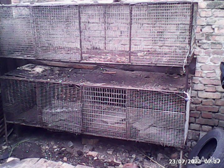 Клетки для кроликов и нутрий