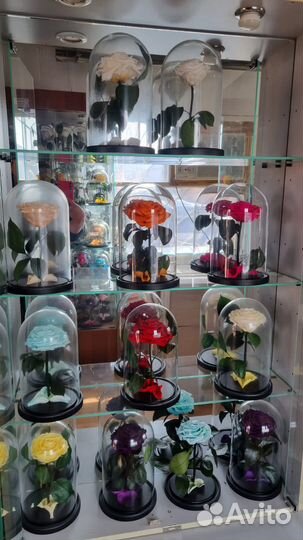 Роза в колбе