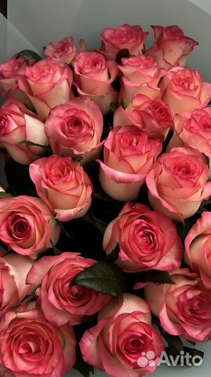 Роза Букеты Цветы