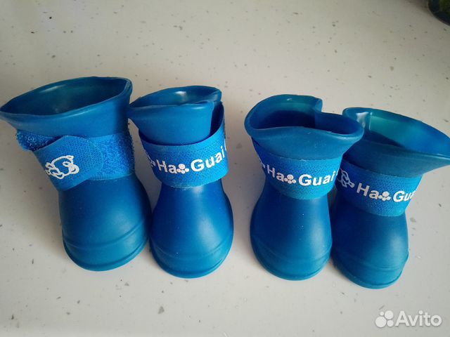 Обувь для собак мелких пород