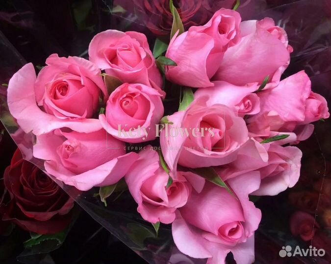 Цветы 101 роза