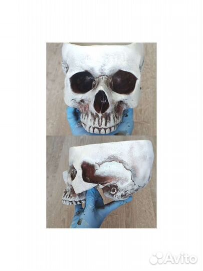 Череп/кашпо/чаша/подсвечник/пепельница