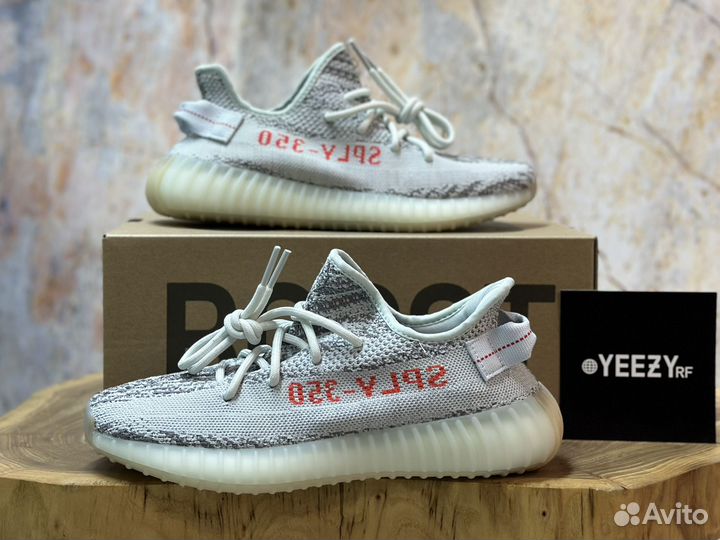 Кроссовки Adidas Yeezy Boost 350 V2 Blue Tint