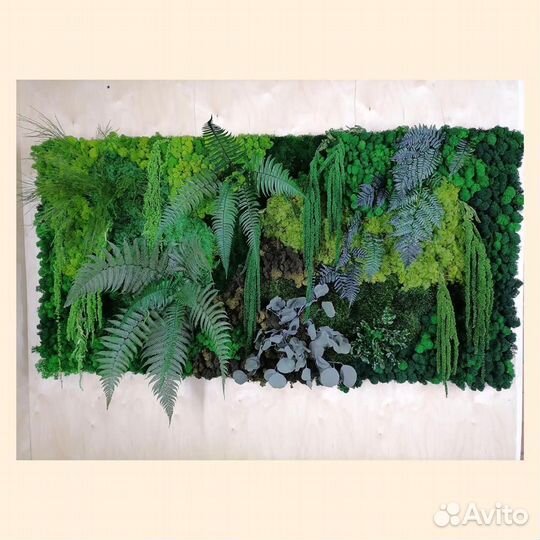 Панели из декоративного мха от производителя