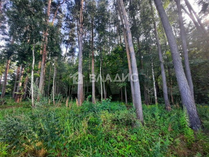 Участок 8 сот. (СНТ, ДНП)