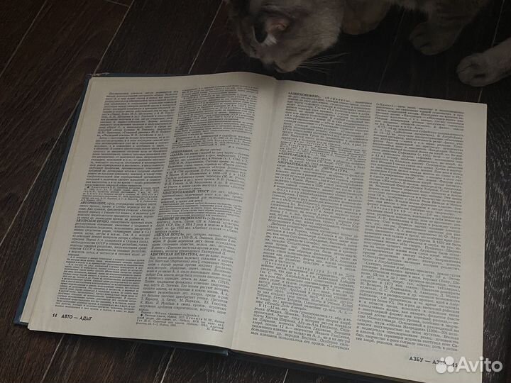 Энциклопедический словарь 