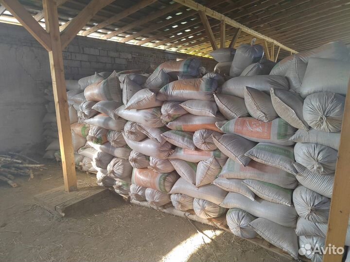 Скорлупа кедрового ореха в мешках (60 литров)