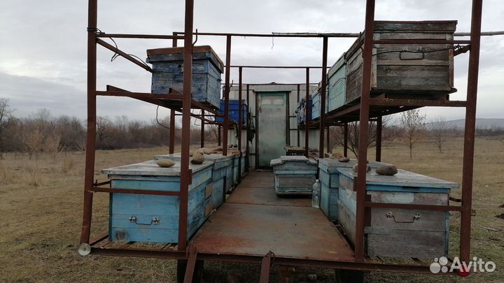Прицеп для перевозки пчел