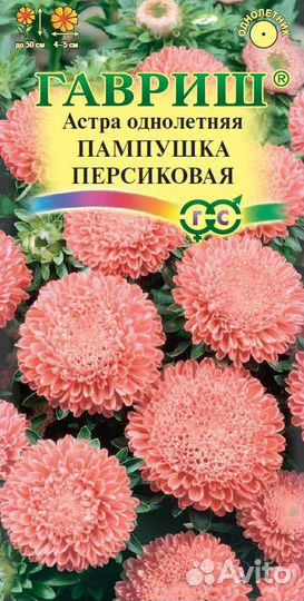 Семена астры 5 пакетиков