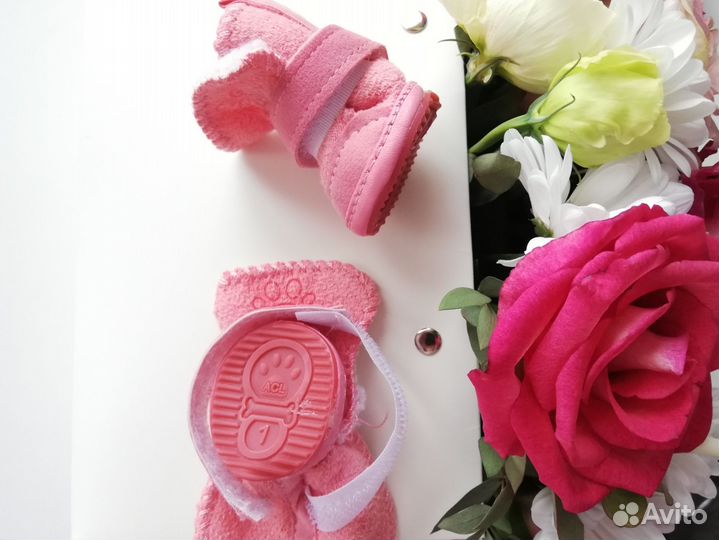 Обувь для собак