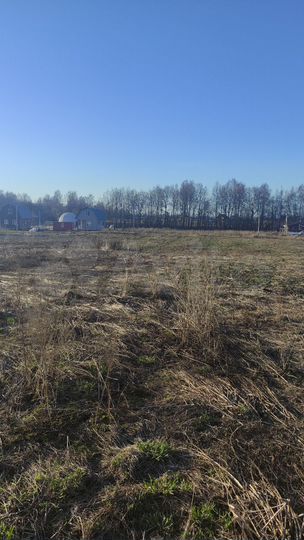 Участок 11,7 сот. (СНТ, ДНП)