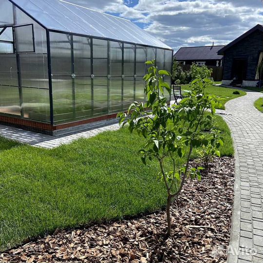 Рулонный газон