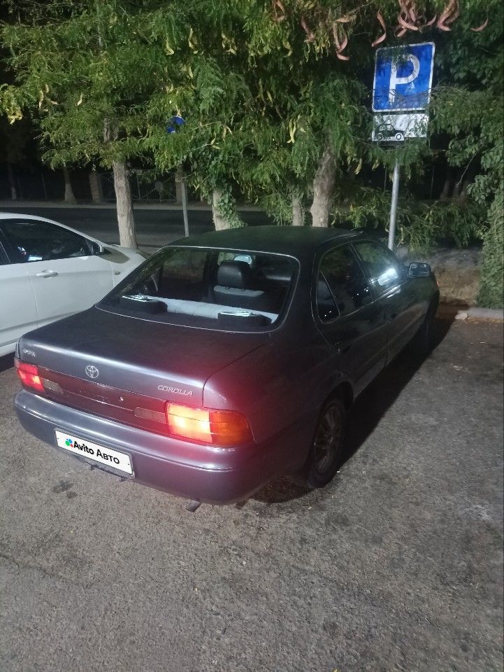 Toyota Corolla: фото владельца