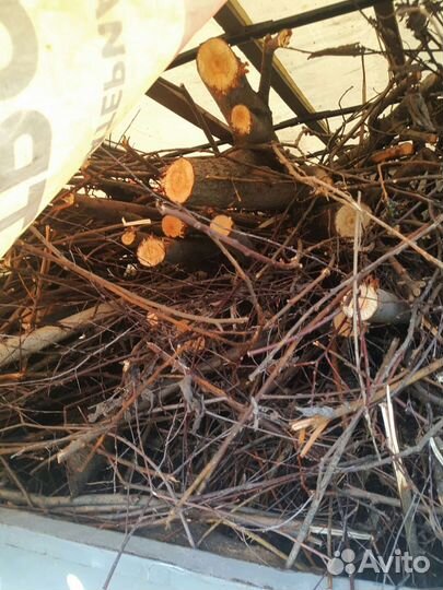 Вывоз мусора из квартир гаражей