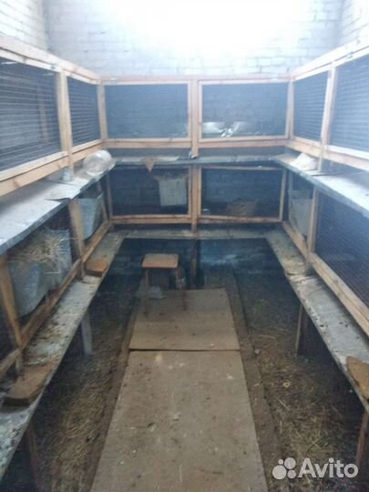 Клетка для кроликов