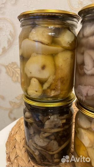 Грибы опята,польские, паутинник,грузди урожай 2023