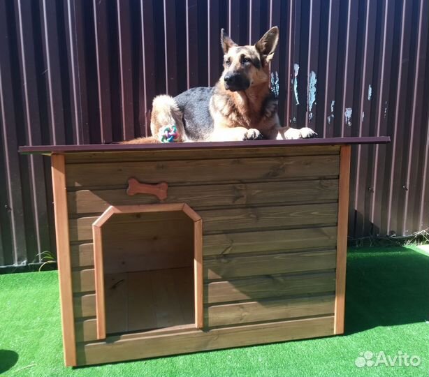 Будка, Конура для собаки