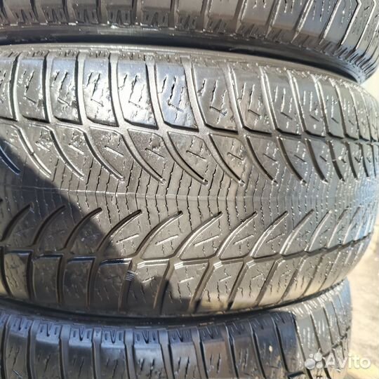 Sava Eskimo HP 255/50 R19