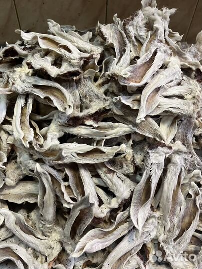 Вкусняшки для собак