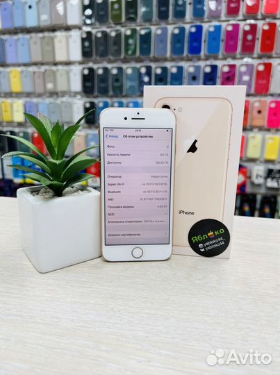 iPhone 8, 64 ГБ
