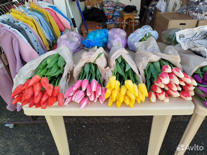 Тюльпаны к 8 марта