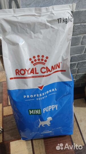 Корм для собак royal canin Starter, Papik
