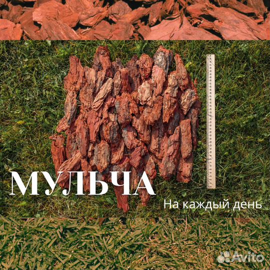 Мульча, кора лиственницы, кора сосны