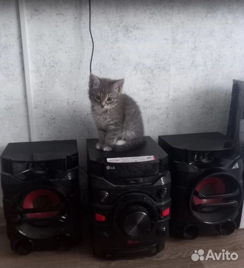 Музыкальный центр