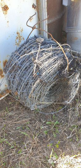 Колючая проволока