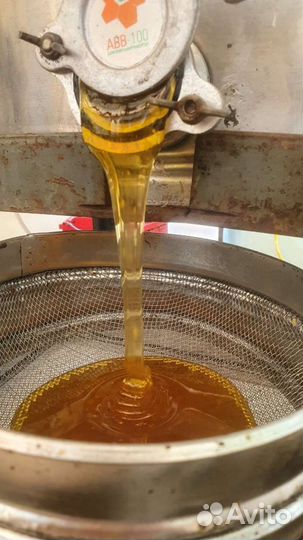 Мед- пыльца