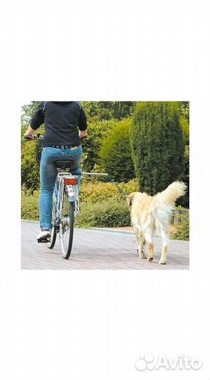 Велоспрингер для собак