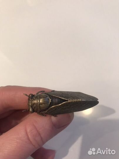 Старинная брошь Цикада