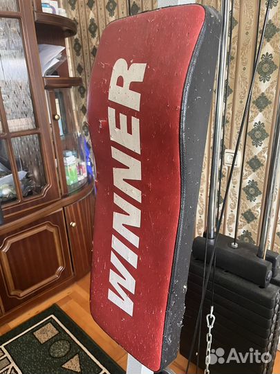 Тренажер Winner Dorian