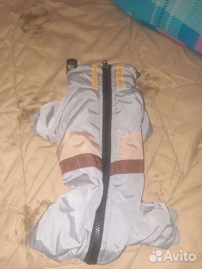 Одежда для собак