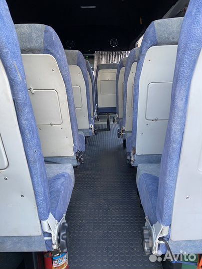 Автобус на заказ