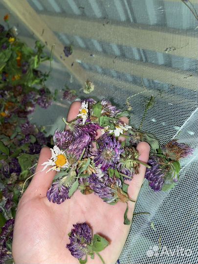 Корм для грызунов