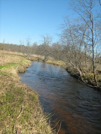 Участок 9,93 га (СНТ, ДНП)