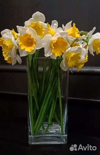 Цветы из холодного фарфора