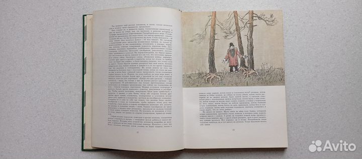 История одного города. 1981 (м.салтыков-щедрин)