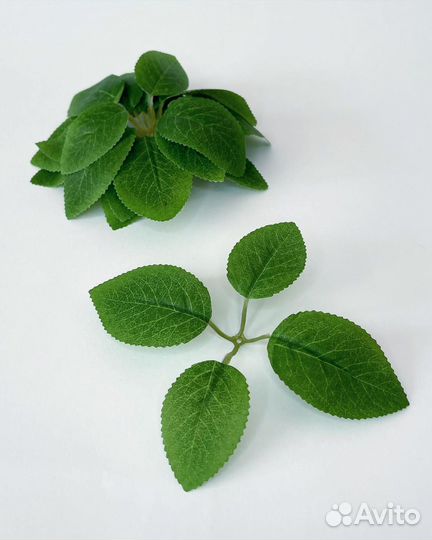 Зелень для букетов