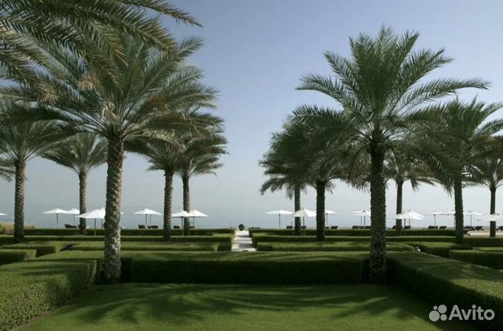 Загранпоездка в Oman от 7 дн